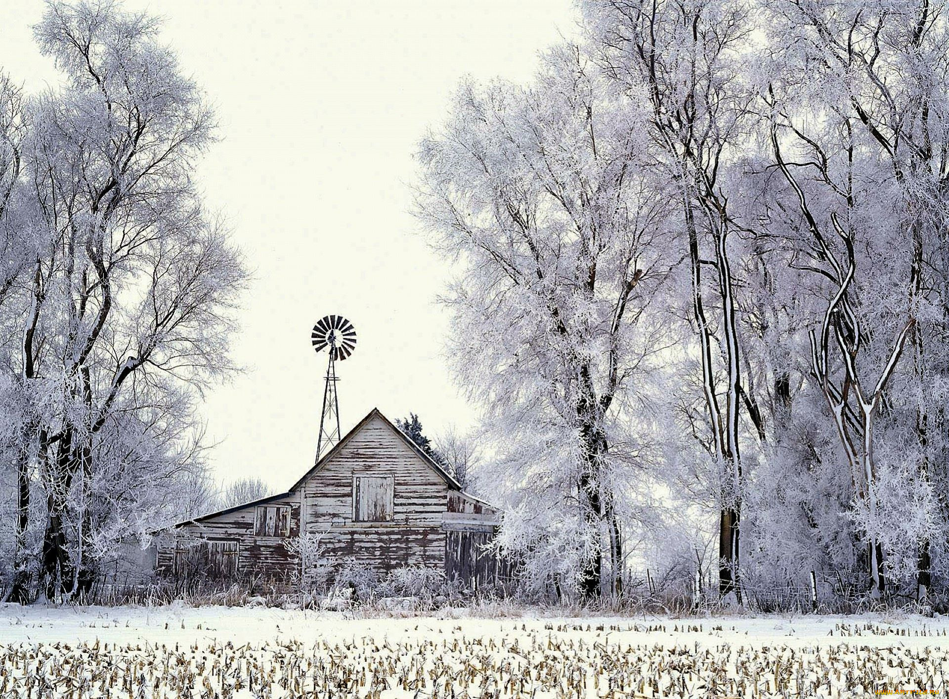 Деревня зима снег деревья